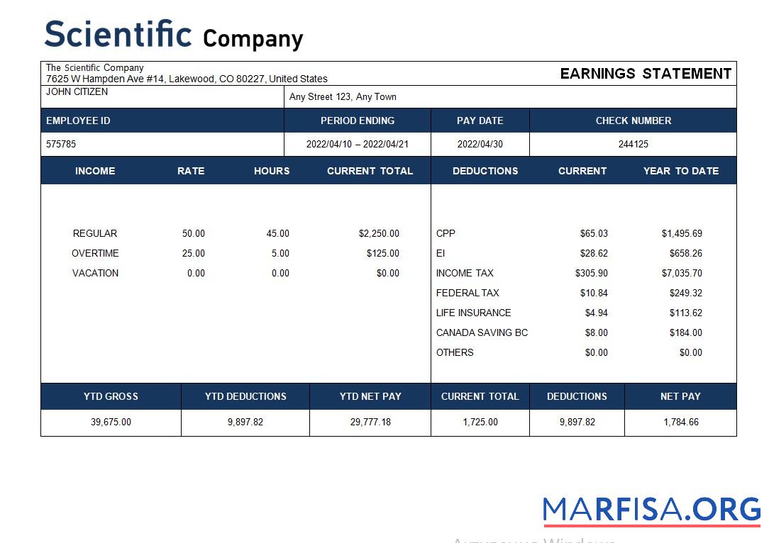 Realistic Scientific company payroll statement real example